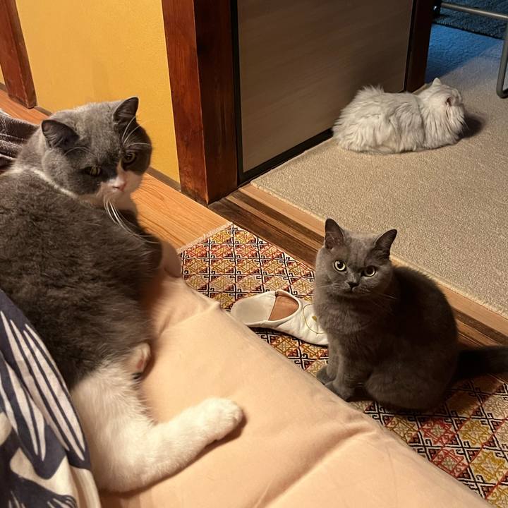 244892a0 f2a6 497a 9f19 51702c974d53 1726189540765