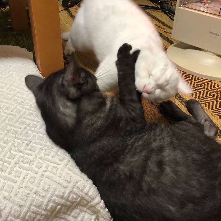 2448ae44 80ee 4741 a82b 5d27f6bff9e0 1602326767665