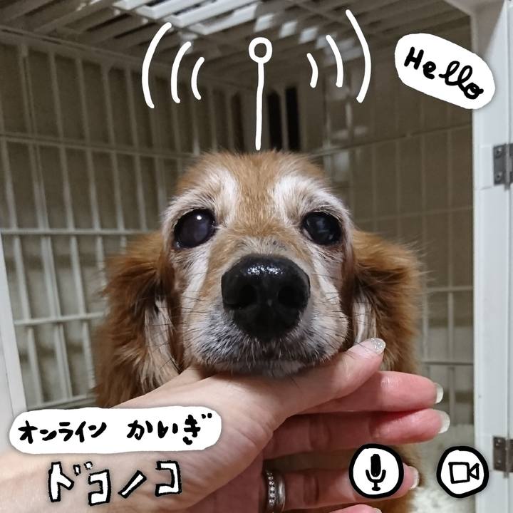 2448ccb2 fa0c 4be6 ab08 bc845321a461 1591384734174