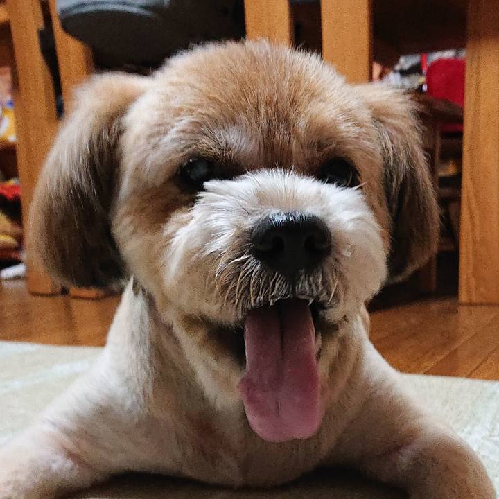 2448d308 20de 42c6 b80c a802eea2afc6 1595588774162