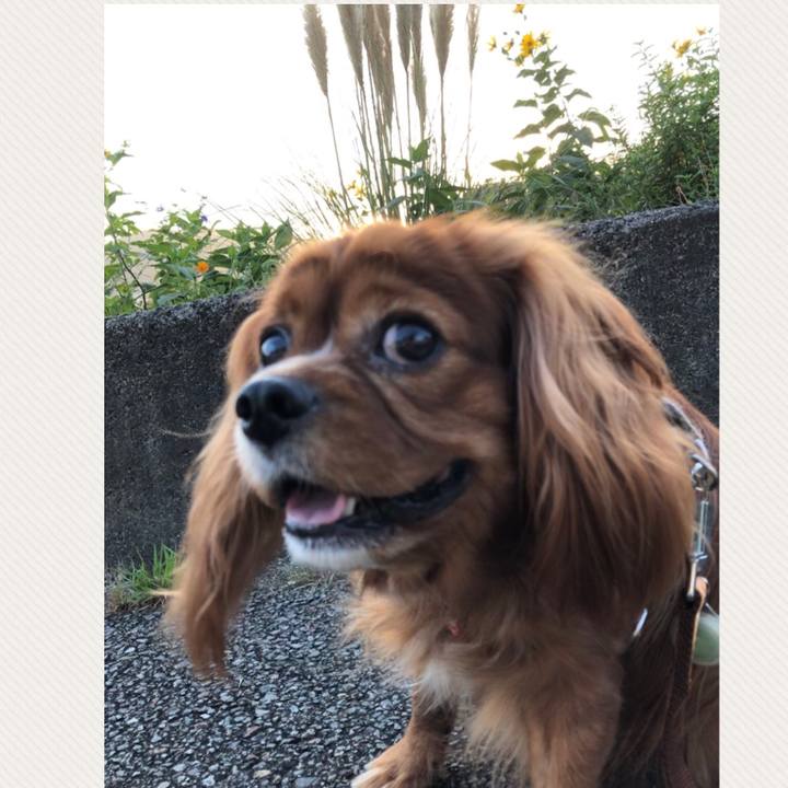 244910ba 5e3b 4b42 bb53 edd8bb6ddca5 1601380578206