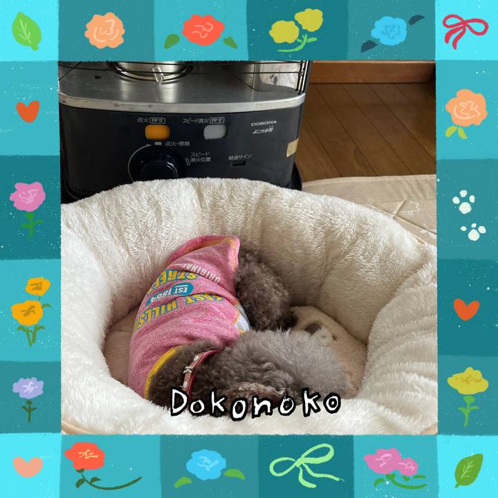 244928a3 8a40 49a4 8b9a 09a4dd6f12ca 1715213418277