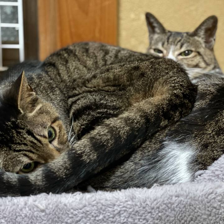 24493d39 a416 4c06 8c5e ca7d291f22f9 1616981992994