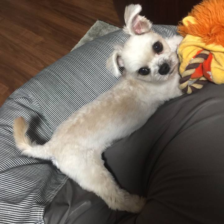 24494f34 32d2 4b7f 95b3 41ed1ed9a983 1538052360338