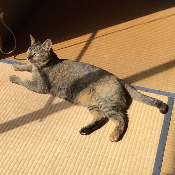 24494fb6 7c97 4a18 8e9e cbb5ce602a03 1617064589216