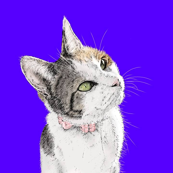 244956a5 9ec1 43e1 bd58 9ccc2f9e6248 1599229541343