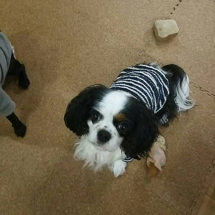 244979a1 d3eb 42e0 8757 71140b23020a 1542087098429