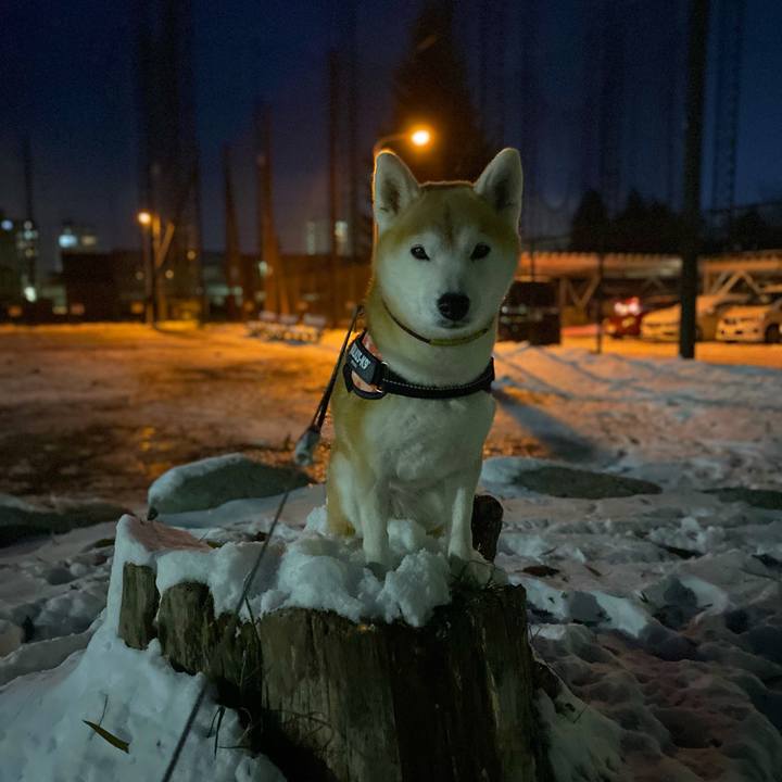 24497ad2 4edc 4d21 99eb 7716f6704227 1700907572795