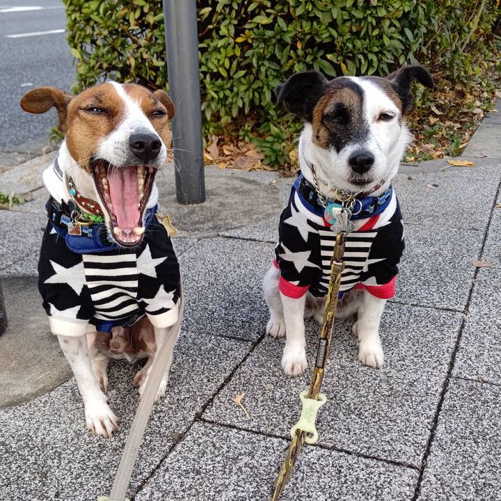 24499a07 ccf2 4ef2 ada4 d157e203f68c 1638831472562