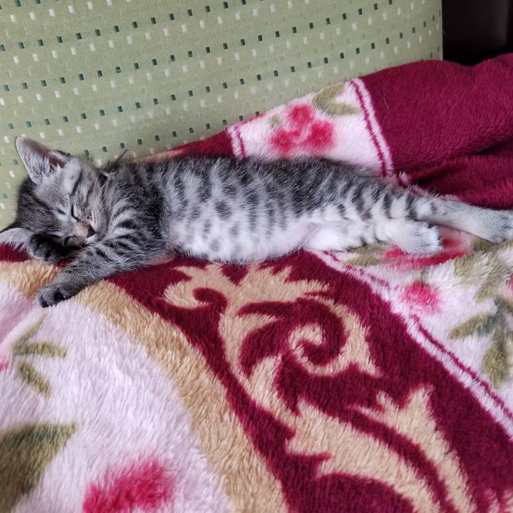 24499ecc 0e2e 4a39 b735 2e652ebe52ac 1661490747156