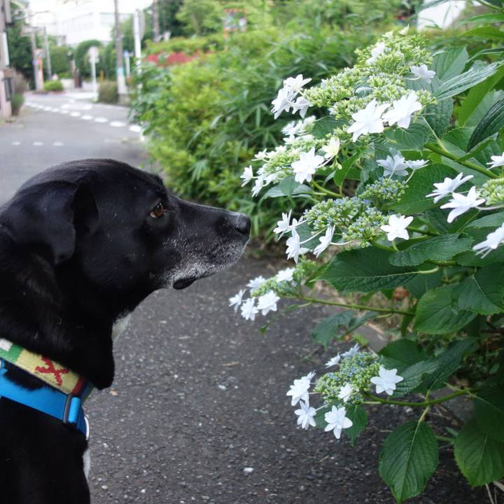 2449c0d7 4411 49a0 86bb 0ac2fe2896c0 1685875933293