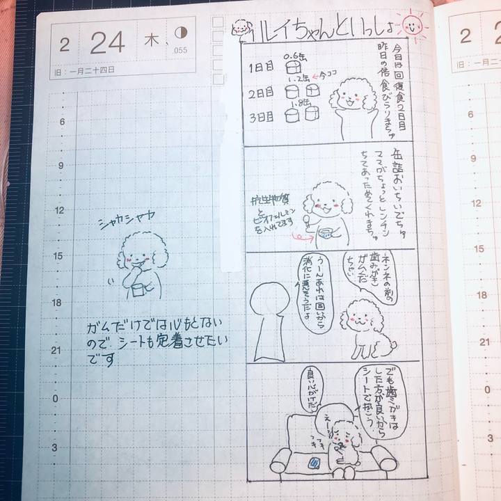 2449d04c f1fd 4fd3 a2d3 7e231c054731 1645715172336