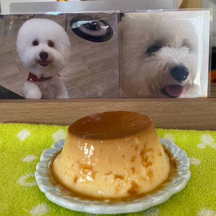 244a2e9d c909 4cda 9fcd 0271781e02cd 1737690196073