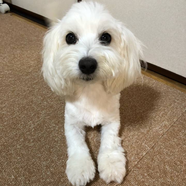 244a57d2 7b96 48e0 97f6 5e9112737313 1532327225500