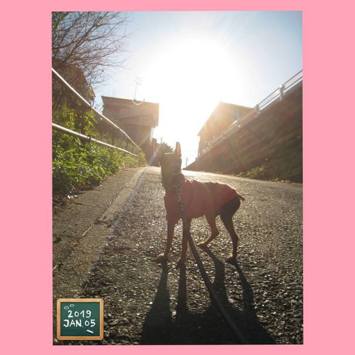 244abbf6 e3b4 4f87 ba93 f5bdc760d056 1767278749328