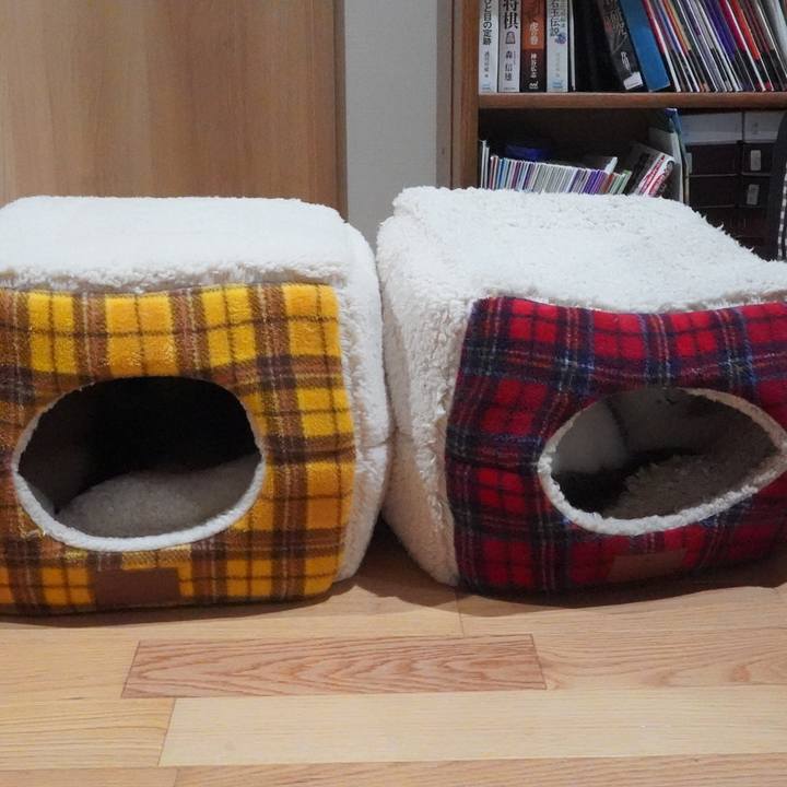 244abeac 9c6f 4d65 9271 4a00ea38723f 1598266275576