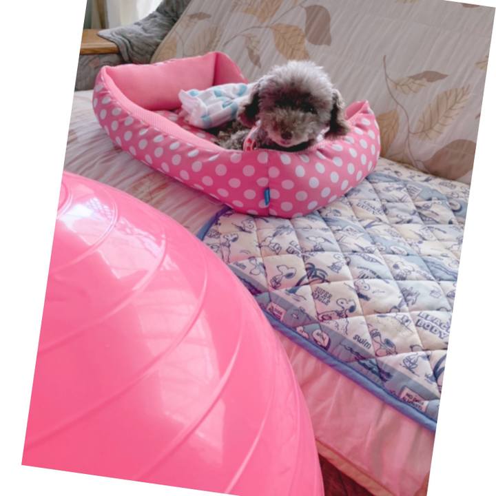 244adfae a028 4c89 aa16 f7c539a41960 1631769283644