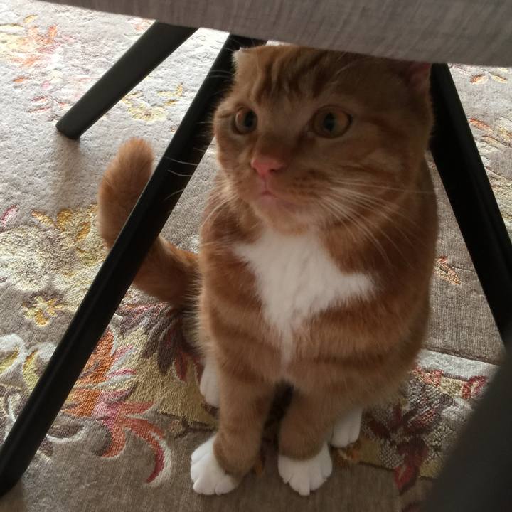 244ae4b9 c67f 4f0a aa4e 5f930217c10e 1515975441256