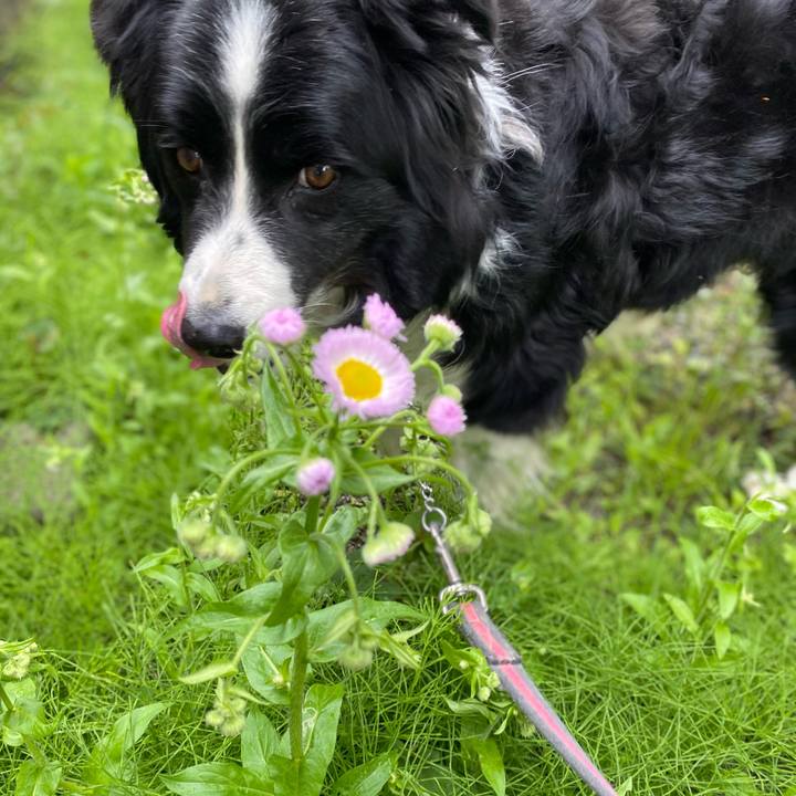 244aebbc a8d3 4e18 ace4 9410dd95ff9d 1618535574274