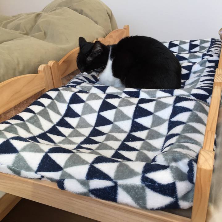 244b0b3a 4fa7 46fb 8c46 1a1b8971a236 1509754166536