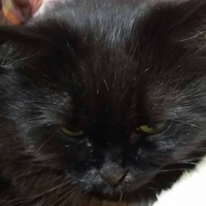 244b746c 783d 407a aeb7 c22e56e65e7f 1517919084624