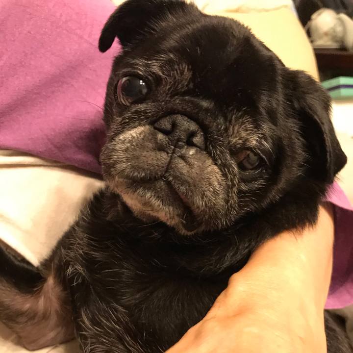 244b9c64 845a 4af3 aca5 0915f53ce4b2 1570280604890