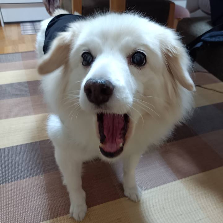 244baf33 972a 45d0 829e 7c45b9fca7fb 1708485639554