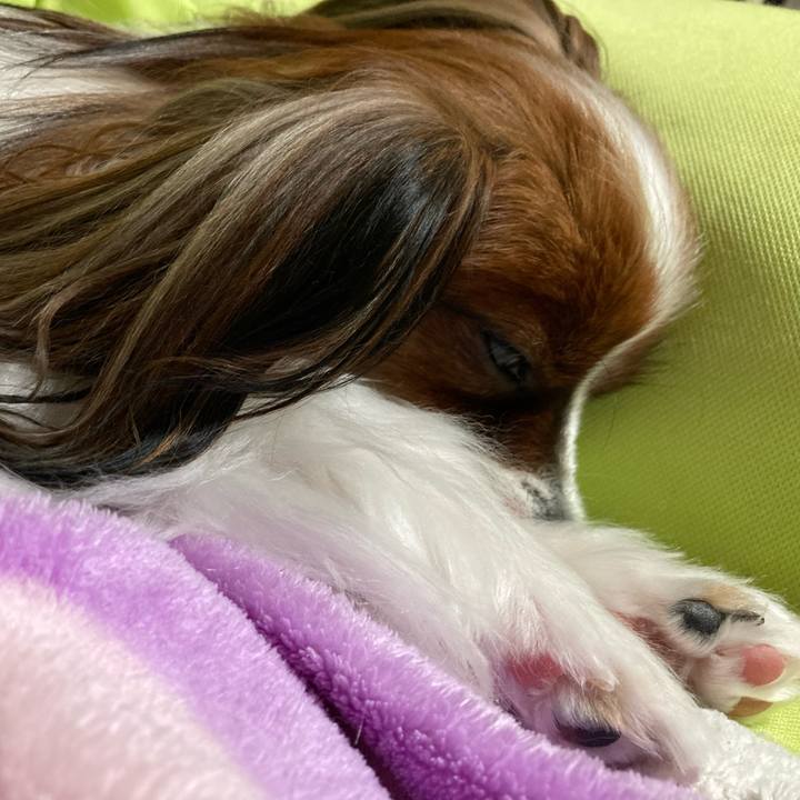 244c95c6 381c 4e8f 8266 3d01ca3cd49c 1634993601027