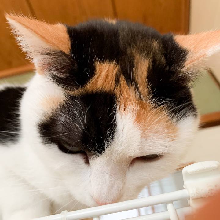 244c9a08 53b4 492e 86ec c6e9916a7d4f 1581731225250