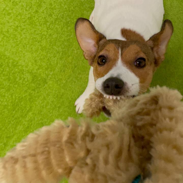 244cfa00 e32d 45a4 b27b e93536d30d3e 1701501992254