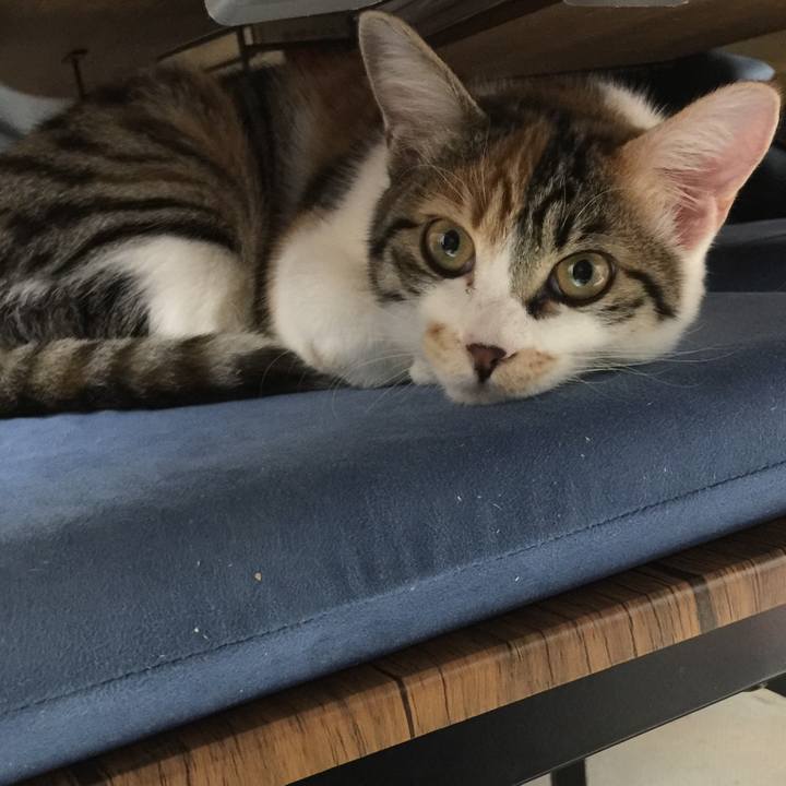 244d12c8 6668 4dcf aa07 5129076aaaa5 1639922887682