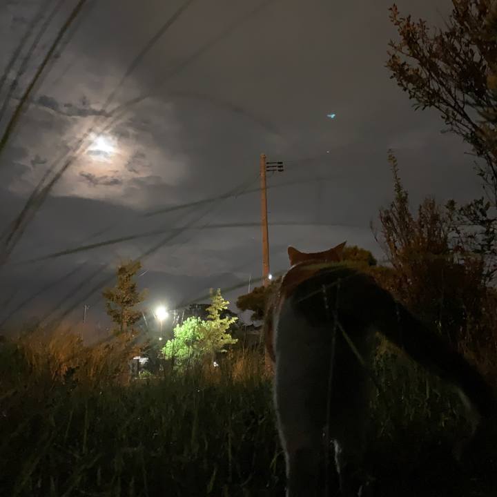 244d1b73 8aff 40bf 865e a6581b9e74d8 1601551069756