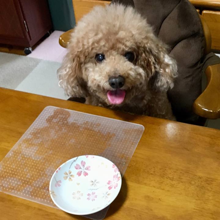 244d2196 5e8b 4095 947c 7c02c46afbcc 1521590618019