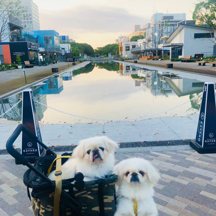 244d7321 3825 42d6 b0a9 2decc81c7047 1602020584718