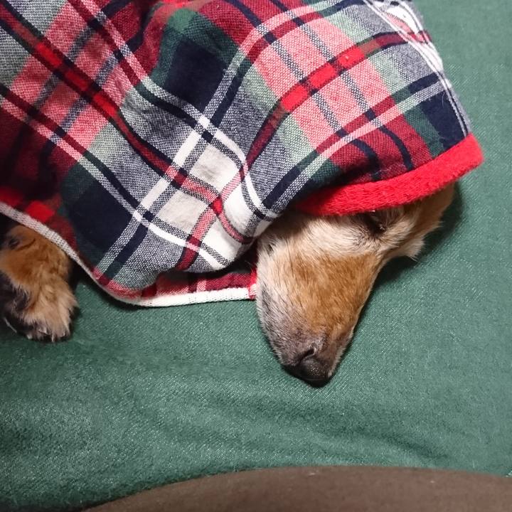 244dae74 908b 44b0 85cd 9c0de4468776 1571510642256