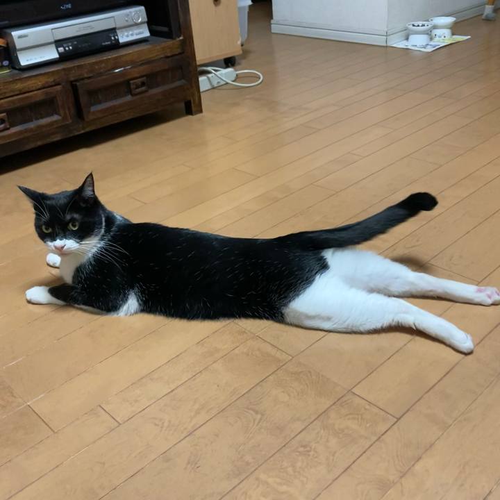 244dcec9 ed7e 4096 ac36 5d7549a3b952 1655012477975