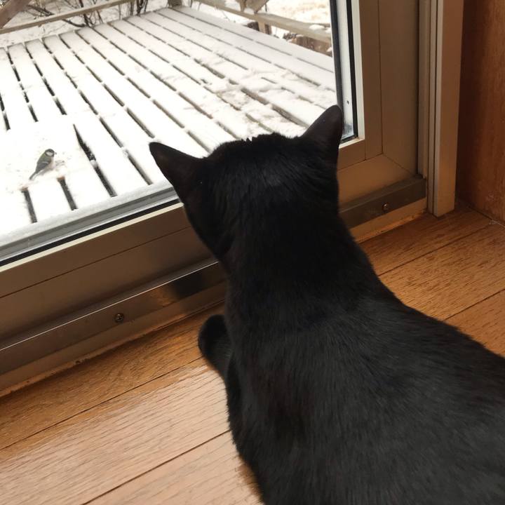 244dcf0b e31b 49c6 9c32 948526f07389 1576362846156