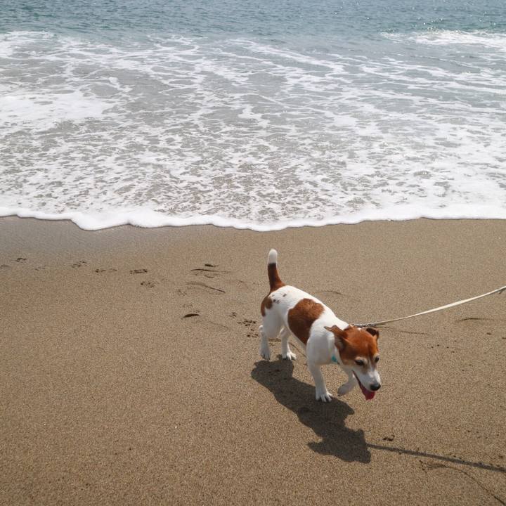 244e00b3 1241 4f66 930c 43a4924bc289 1528811411316