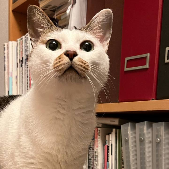 244e3699 f3d6 4b98 b429 b92d4c79d48f 1667483607027