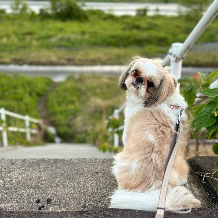 244e4953 cc99 4e10 96d7 d8c6aad55c91 1682565740755