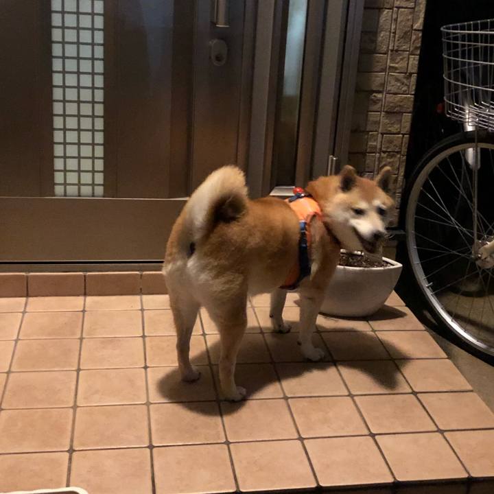 244e984b 7591 4ecb af8b c06c0f1e0f6a 1601456272379