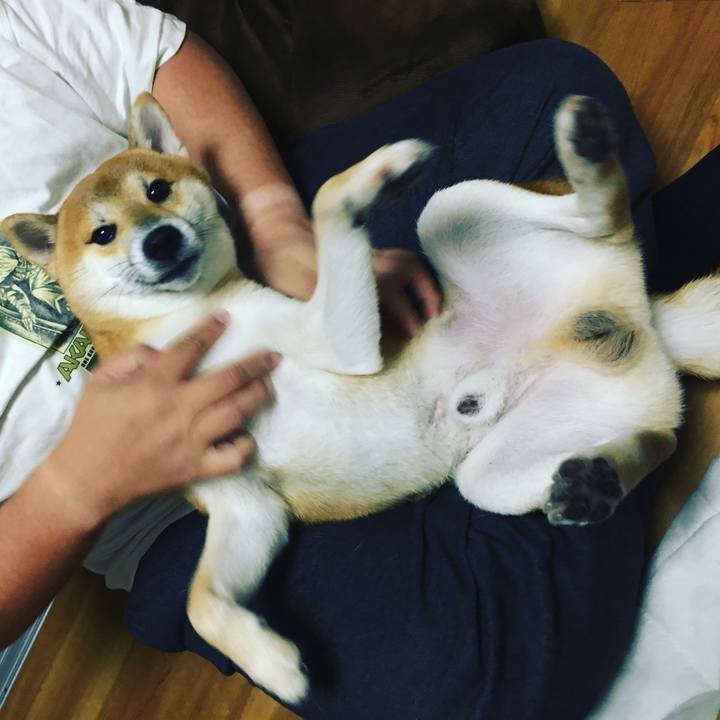 244eb470 2ed6 4fc7 8c57 dacf443710e2 1509024762285