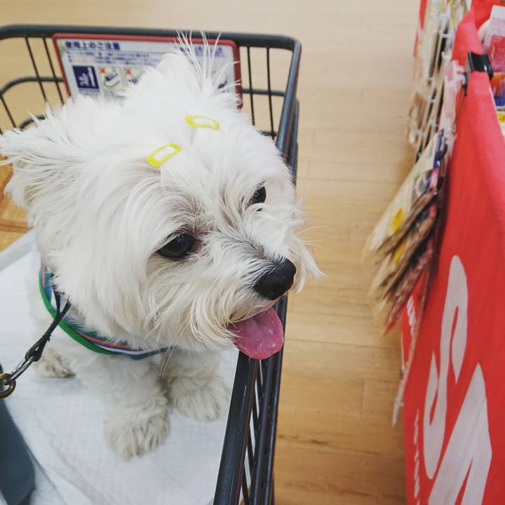 244ee785 a1e1 45cb 8f14 9da6e5a95fa2 1563283072857