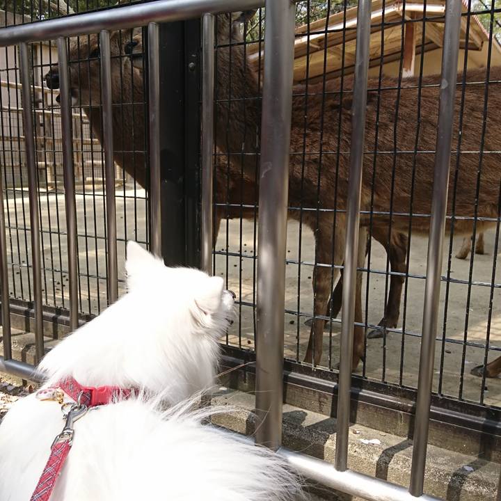 244eefad 4af1 4d64 bb79 f9ef9b585518 1554623601667