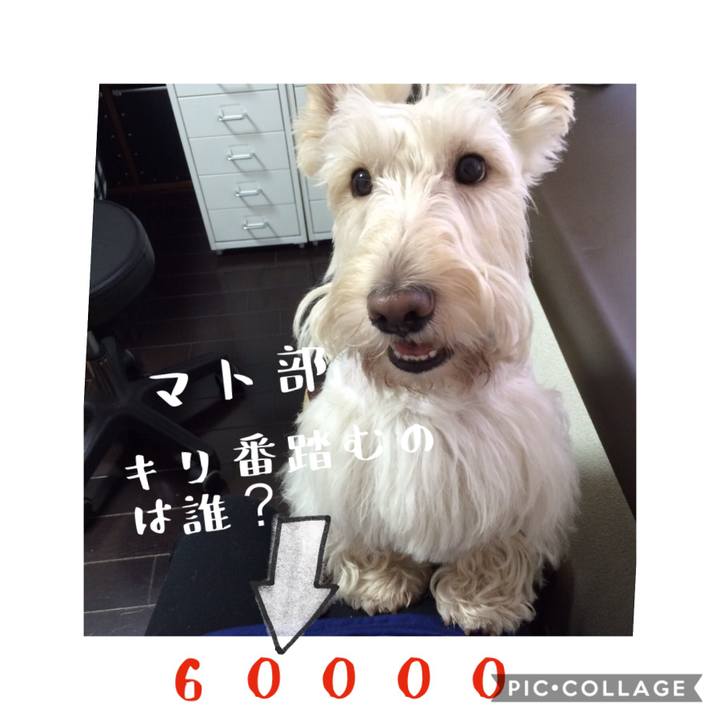 244ef24e 70f6 43df bacd 02372d5f898e 1578370477465