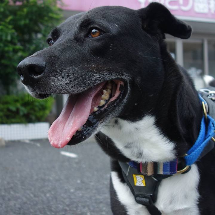 244f11b7 8b99 4391 bcdc 2ed6cf61ae55 1656031218308