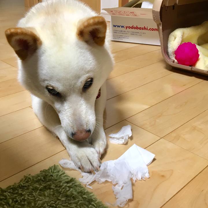 244f3c60 5e0c 47a9 a952 5cbce2db05b9 1563444463819