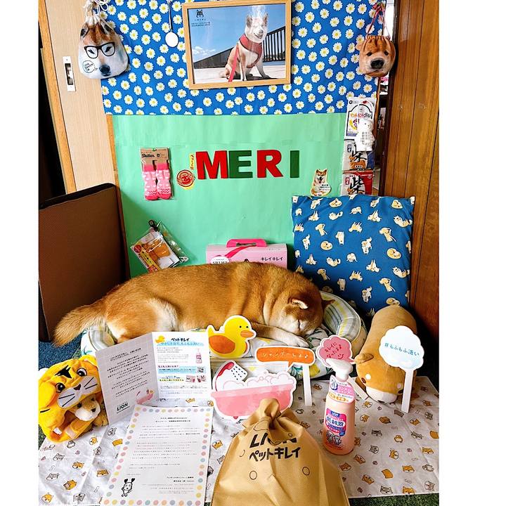 244f3d68 3eb2 4d51 99e8 afbd6de886af 1654916593107