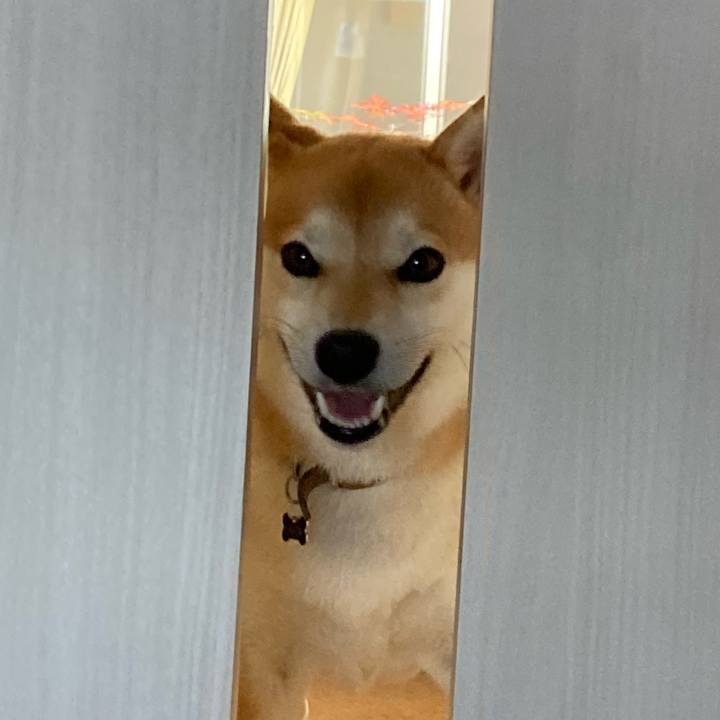 244f6b1f 019f 4ba8 ba1b 25064d28dc9c 1654032373370