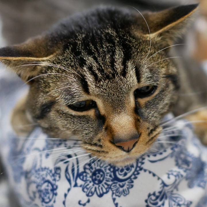 244f8162 392e 443d adc3 9f05c6466b19 1524058246721